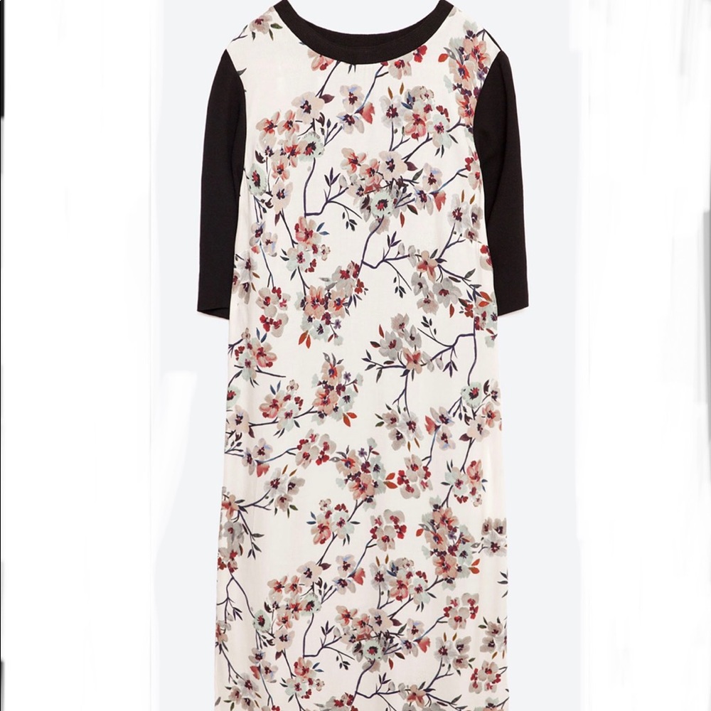 Zara Women dress